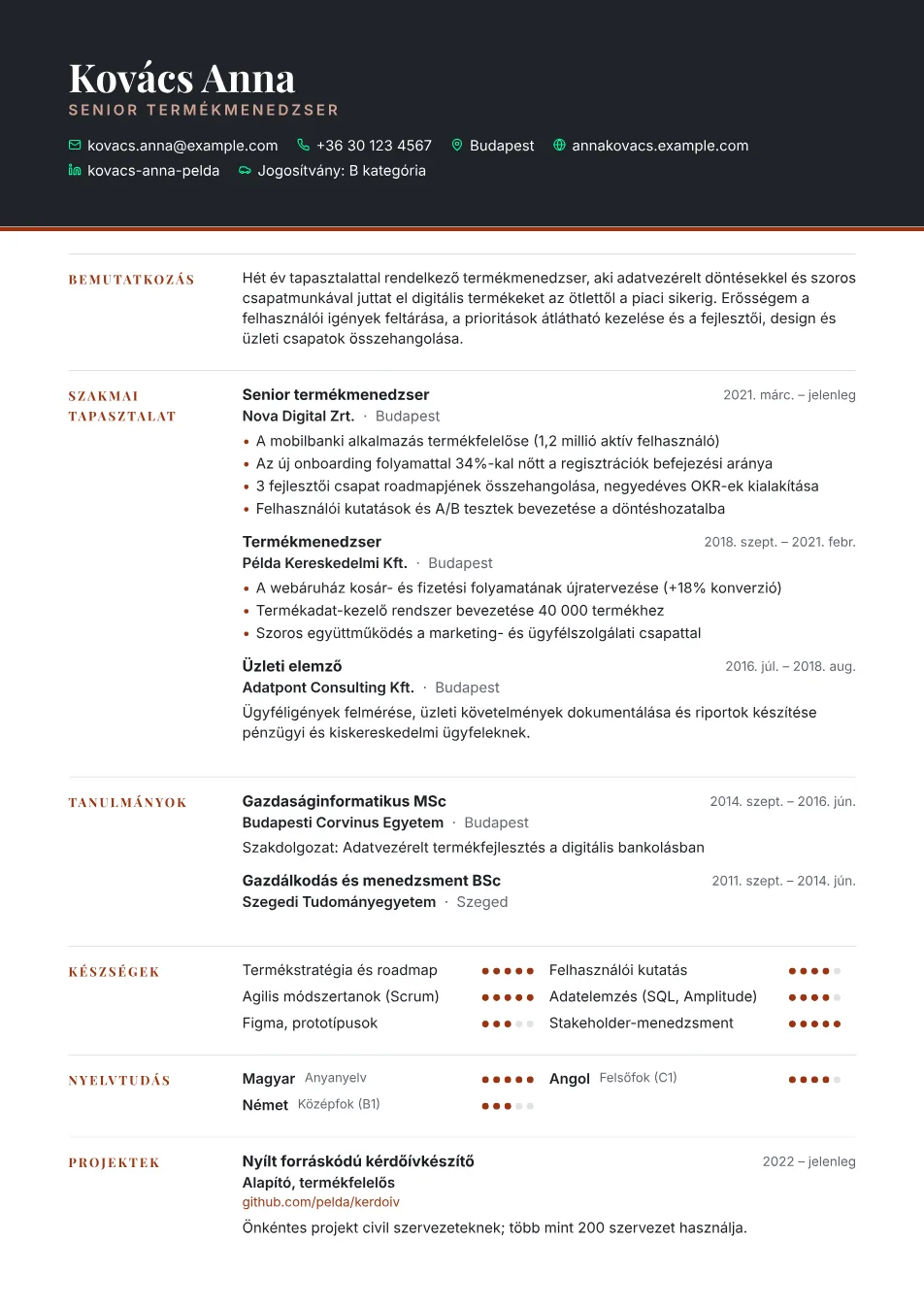 Vezetői sablon